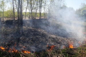 Паліям сухої трави — штраф і під суд!