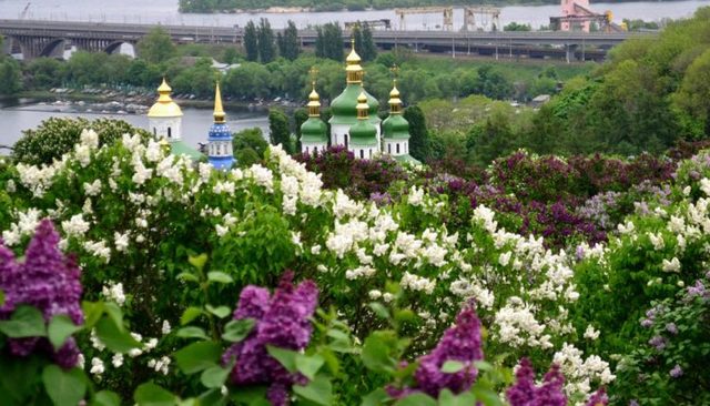 Директор Национального ботсада забыла задекларировать свой бизнес