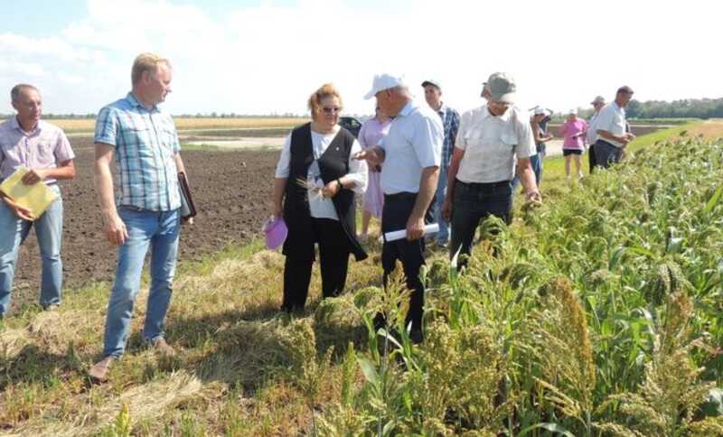 Госсорткомиссия под прицелом: коррупция и сомнительные назначения