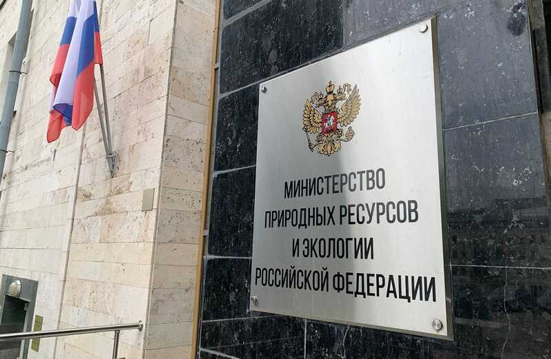 Минприроды Свердловской области провалило взыскание миллиардных долгов за аренду лесов
