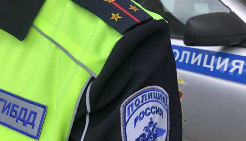 Сотрудники ГИБДД в Башкирии устроили погоню за волком