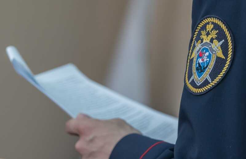 Следственный комитет начал проверку из-за нападения на девушку в Москве