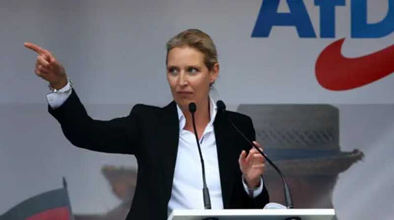 Вайдель упрекнула Мерца в расходовании 5 миллиардов евро на ракеты для Украины