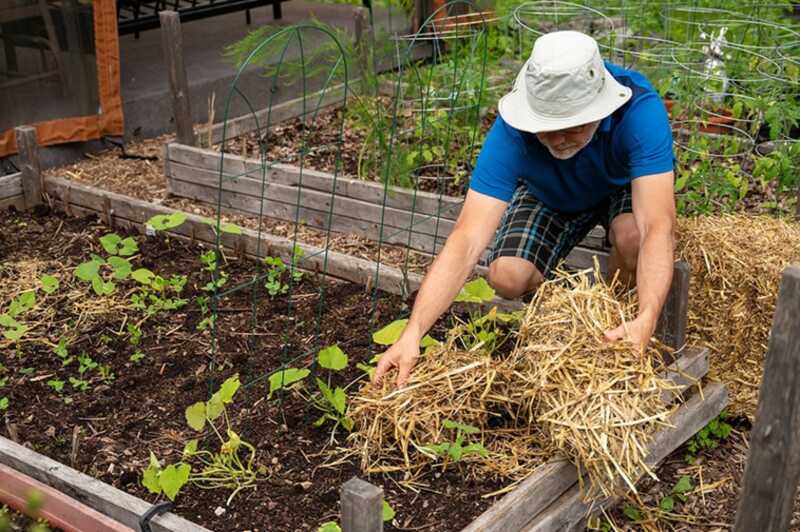 Госдума планирует запретить коммерческую деятельность и размещение мини-отелей на дачных участках