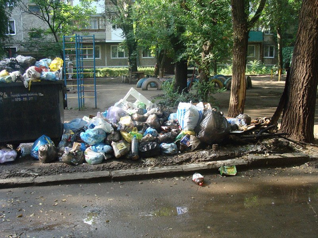 Львов атакуют огромные крысы, которые разгуливают по улицам средь бела дня